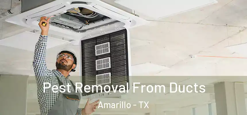  Pest Removal From Ducts Amarillo - TX