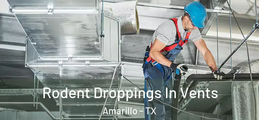  Rodent Droppings In Vents Amarillo - TX