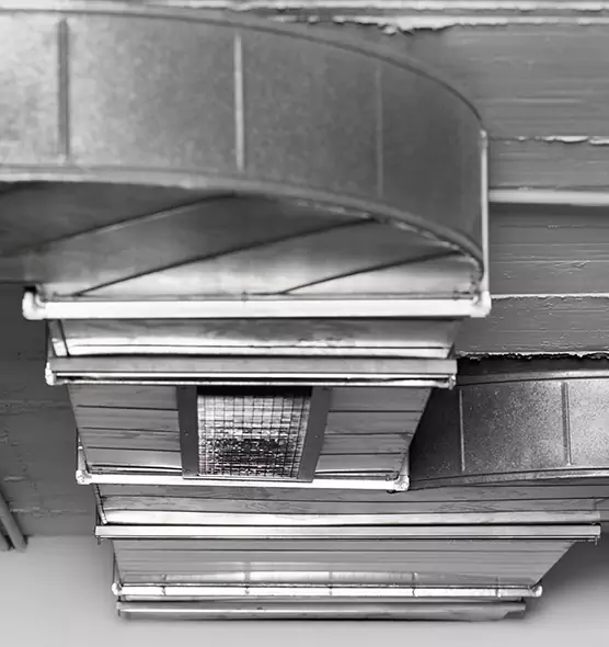 Professional Air Duct Pest Removal in Amarillo, TX