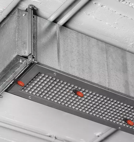 Affordable Insect Removal from Air Ducts in Amarillo, TX