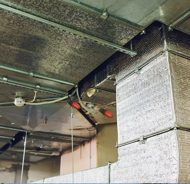 Why Homeowners & Businesses Trust Us in Amarillo, TX?